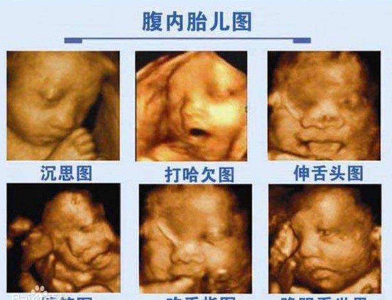 女性呵护之选：妇产医院发展现状与趋势